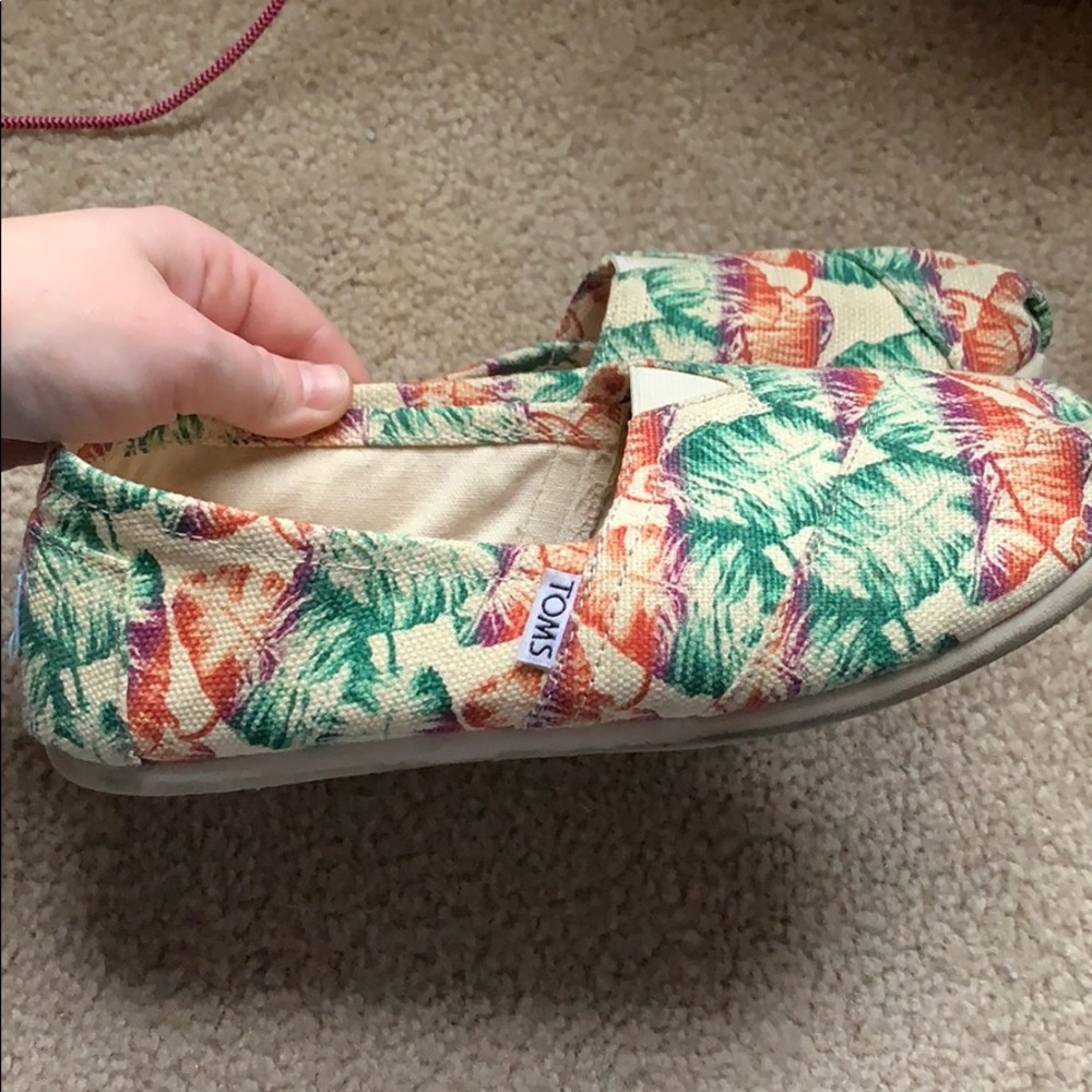 Palm Leaf Toms